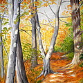 autumn path