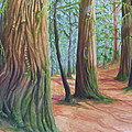 the cedars